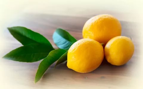 Нужные качества лимона