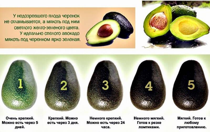 Нужные качества авокадо