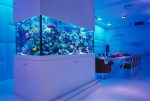 Интернет магазин аквариумов в Киеве
