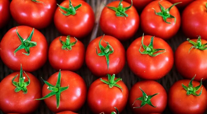 https://ru.freepik.com/free-photo/a-bunch-of-fresh-tomato-produce_18416526.htm#fromView=search&page=1&position=38&uuid=99b0ef64-8660-4e9b-a440-4a5085ecf0fe